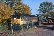 47555 Pig's Bay 28 October 1995