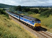 47579 Coker Wood 25 July 1992