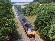 47809 Stonesfield 6 August 1989