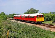 483006 Brading Marshes 31 May 2013