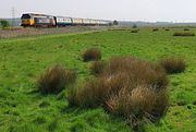 50007 Tarring Neville 23 April 2022