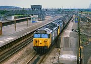 50015 & 50010 Severn Tunnel Junction 30 June 1985