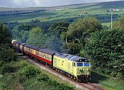 50015 Ewood Bridge 18 June 1995