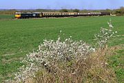 50015 Wainhill 7 April 2025