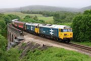 50031 & 50049 Slochd Viaduct 19 June 2006