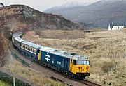 50049 Polnish 5 March 2005