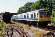 56006 & 50019 Butterley 23 July 1994