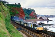 58020 & 58002 Horse Cove 19 June 1993