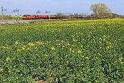 60020 Uffington 24 April 2021