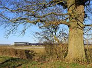 60029 Baulking 18 March 2025