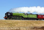 60163 Knighton 1 March 2010