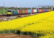 67003 Cholsey 28 April 2015