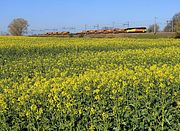 70806 Uffington 22 April 2021