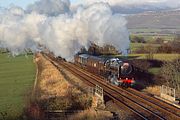 71000 Brampton 16 December 1995