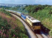 73101 & 73109 Goodrington 20 June 1993