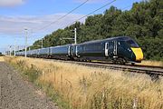 800010 & 800029 Steventon 2 August 2018