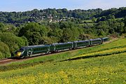 800016 Thrupp 19 May 2020