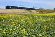 800309 Uffington 26 April 2021