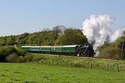 80104 Corfe Castle 13 May 2012