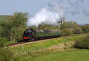 80104 Corfe Common 13 May 2012