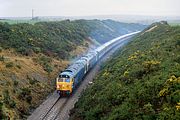 D400 & 50007 Steynton 8 January 1994