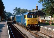 D444 & 50031 Crowcombe Heathfield 20 September 1998