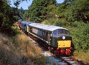 D4 & 45133 Golden Valley 23 July 1994