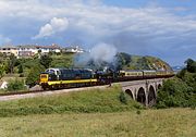 D9016 & 7827 Hookhills Viaduct 20 June 1993