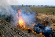 Edington Lineside Fire 11 March 1986